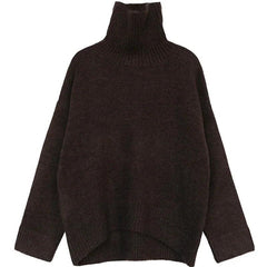 Casual Basic Women's Sweater