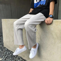 Pleated Straight Oversized Casual Pant