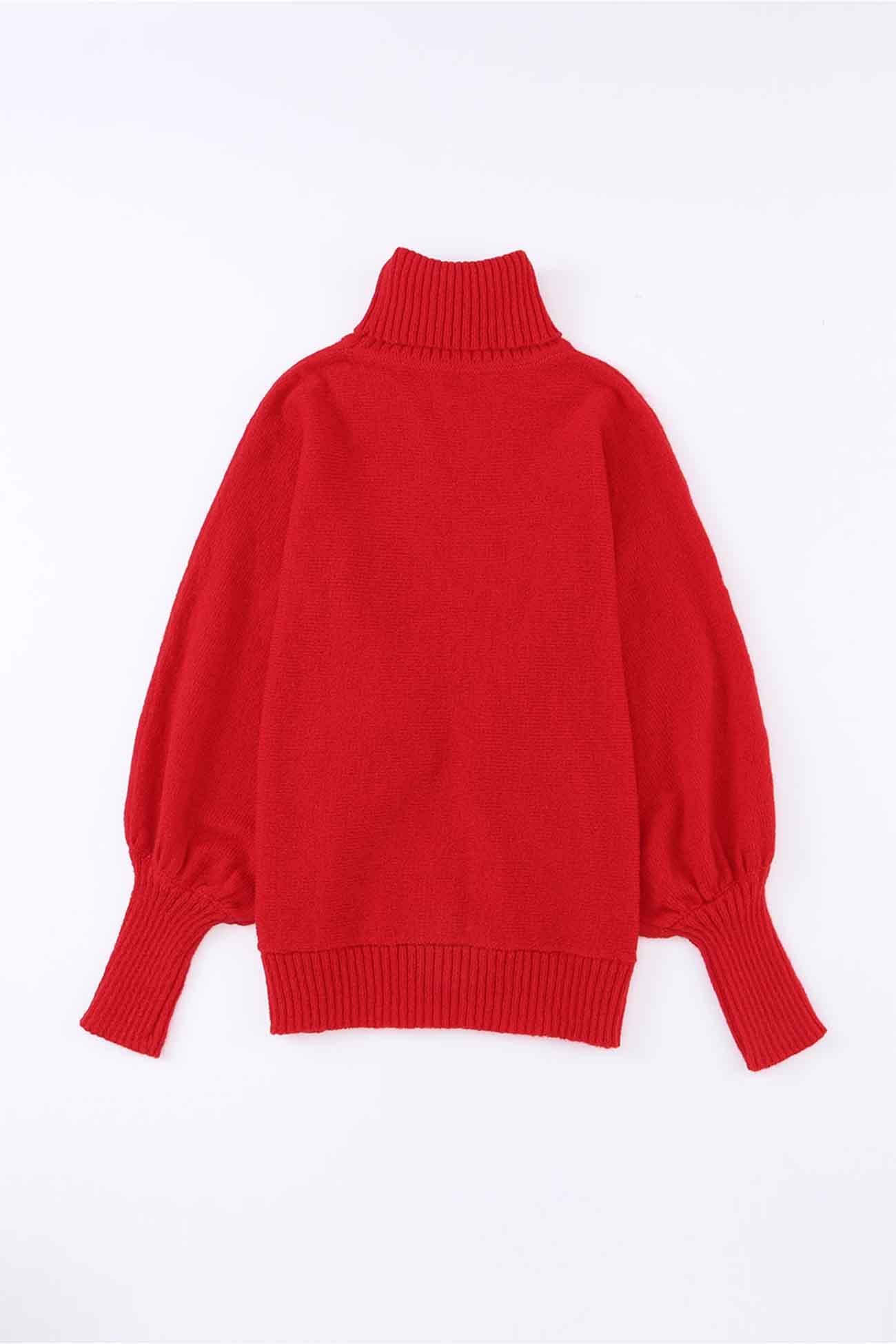 Merry Printed Dolman Sleeve Turtleneck Knitted Sweater