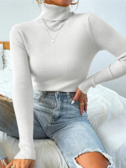 Turtleneck Puffy Graceful Sleeve Sweater