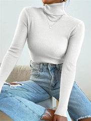Turtleneck Puffy Graceful Sleeve Sweater