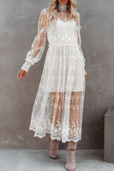 Casual Solid Split Joint Half A Turtleneck Lace Dress Dresses