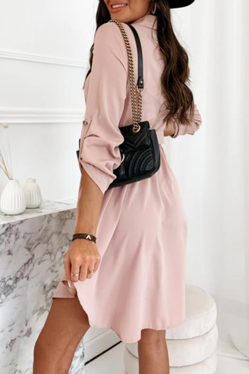 Casual Solid Split Joint Turndown Collar Shirt Dress Dresses