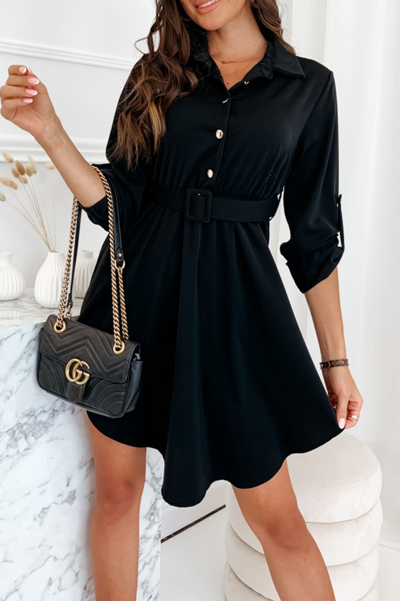 Casual Solid Split Joint Turndown Collar Shirt Dress Dresses