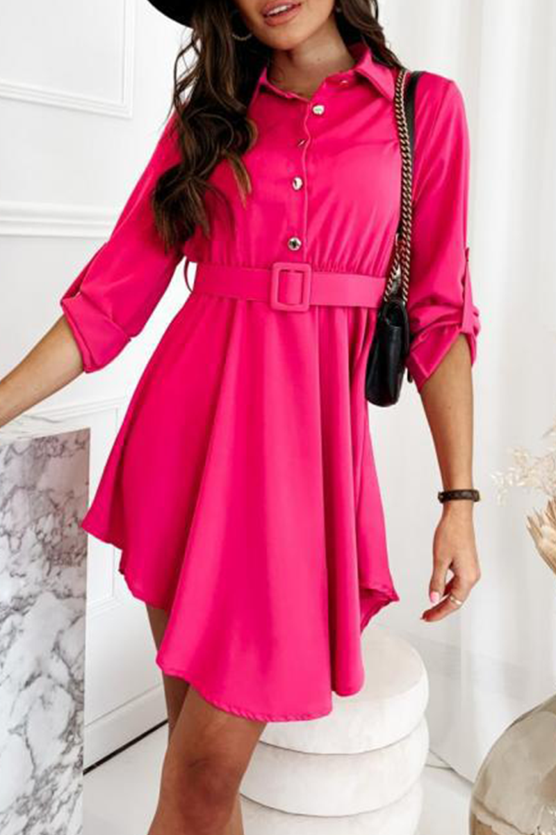 Casual Solid Split Joint Turndown Collar Shirt Dress Dresses