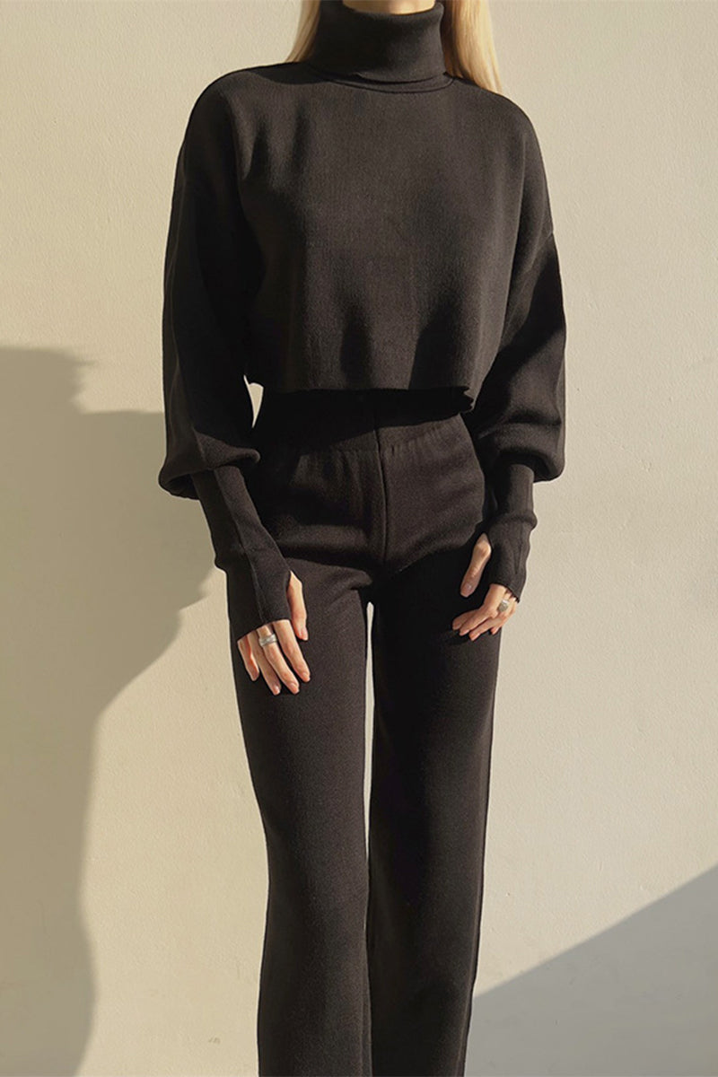 Casual Solid Solid Color Turtleneck Long Sleeve Two Pieces