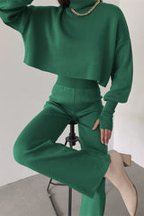 Casual Solid Solid Color Turtleneck Long Sleeve Two Pieces