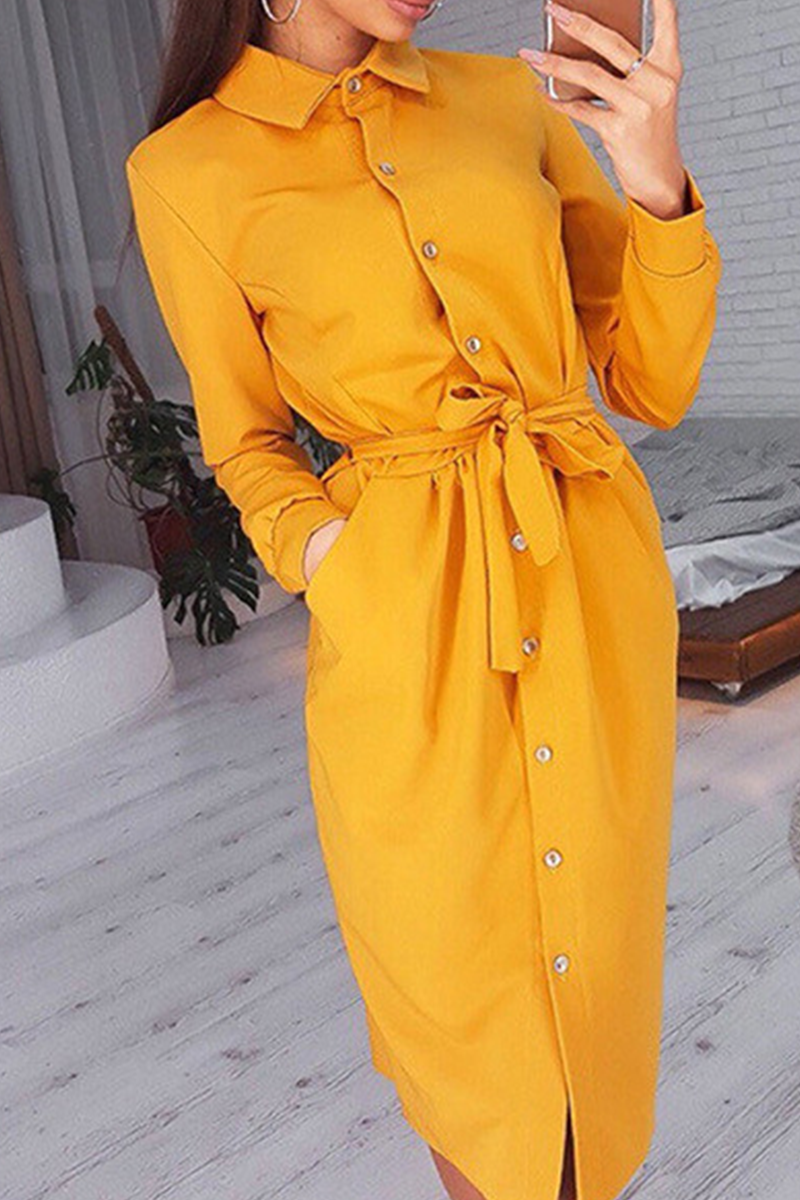 Casual Solid Bandage Turndown Collar Shirt Dress Dresses