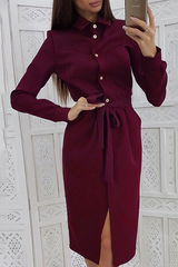 Casual Solid Bandage Turndown Collar Shirt Dress Dresses