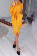 Casual Solid Bandage Turndown Collar Shirt Dress Dresses