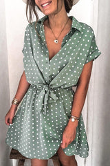 Polka Dot Print Drawstring Waist Dress