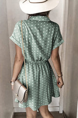 Polka Dot Print Drawstring Waist Dress