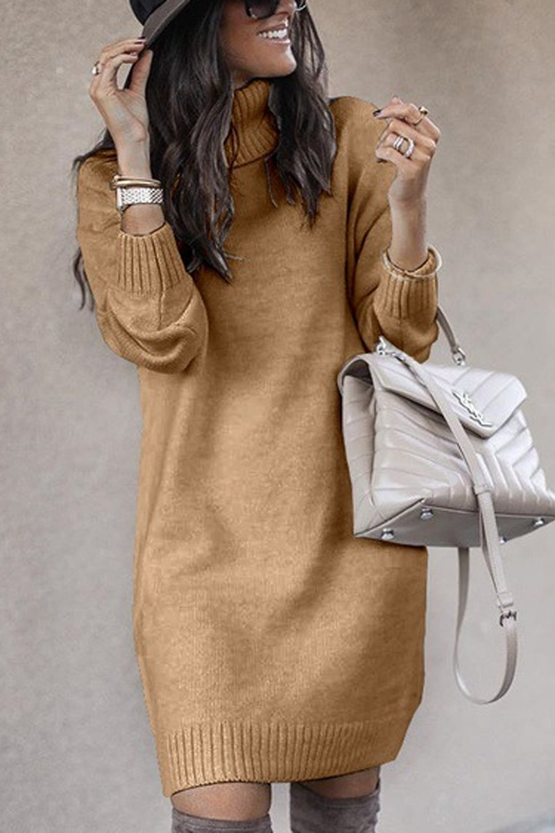 Casual Turtleneck Knit Long Sweater