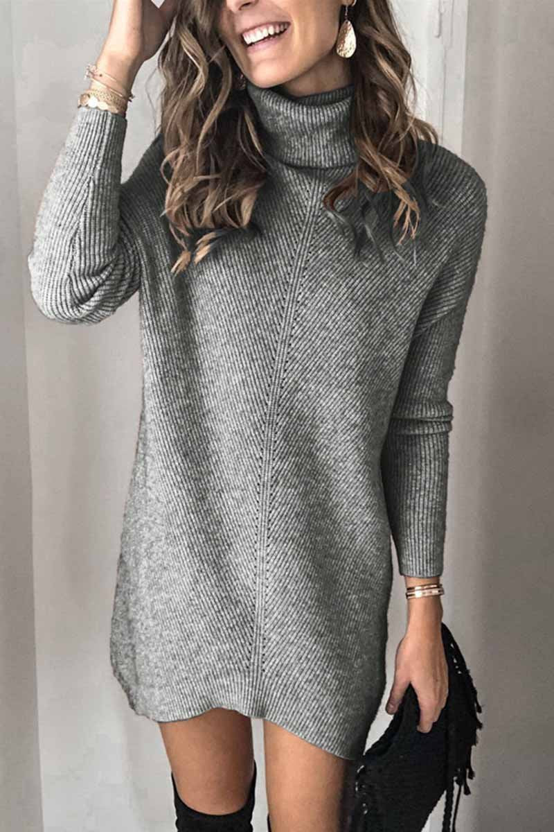 Casual Turtleneck Mini Dress(2 Colors)