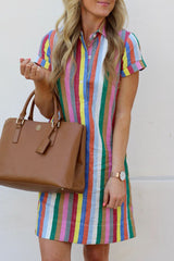 Rainbow Stripe Turndown Collar Mini Dress