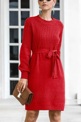 Winter Knit Sweater Dress