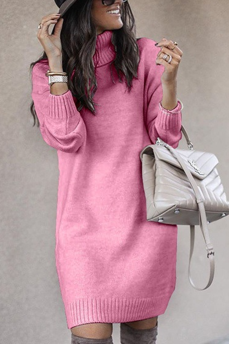 Casual Turtleneck Knit Long Sweater