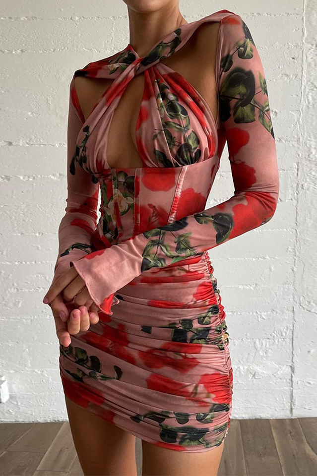 Rose Print Corset Mini Dress