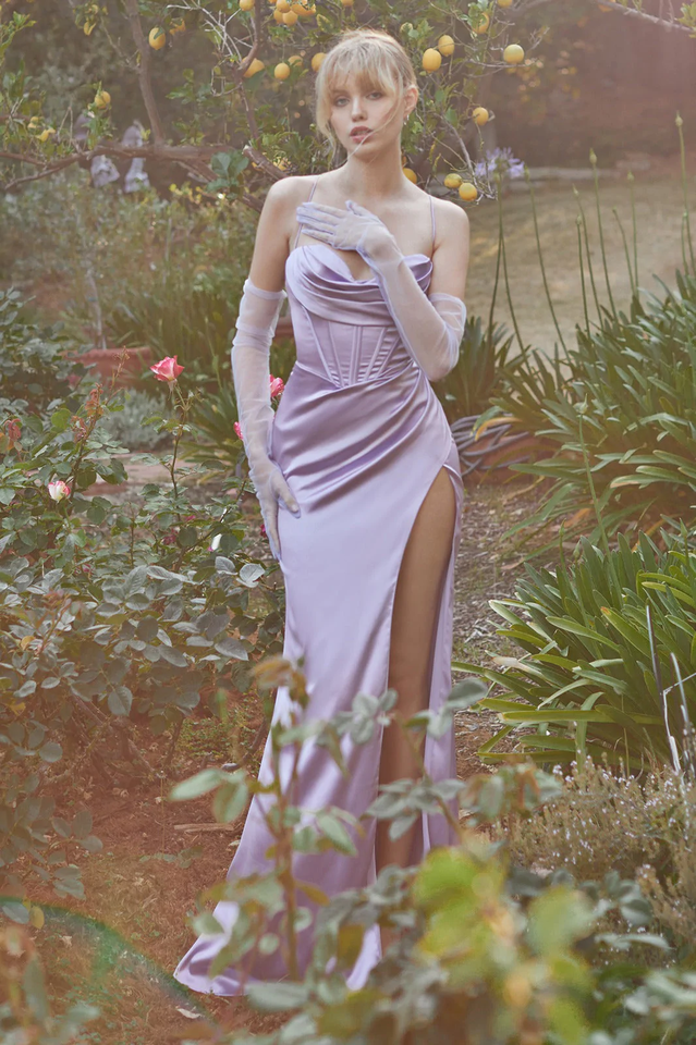 Cinderella Divine Corset Cowl Satin Gown