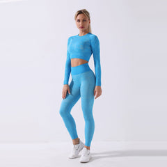 Seamless Yoga Suit Long Sleeve Top & Leggings